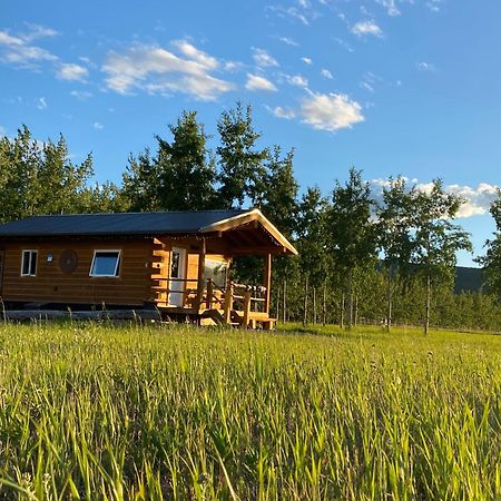 Oma'S And Opa'S Northern Lights Viewing Cabin Villa Whitehorse Exterior photo