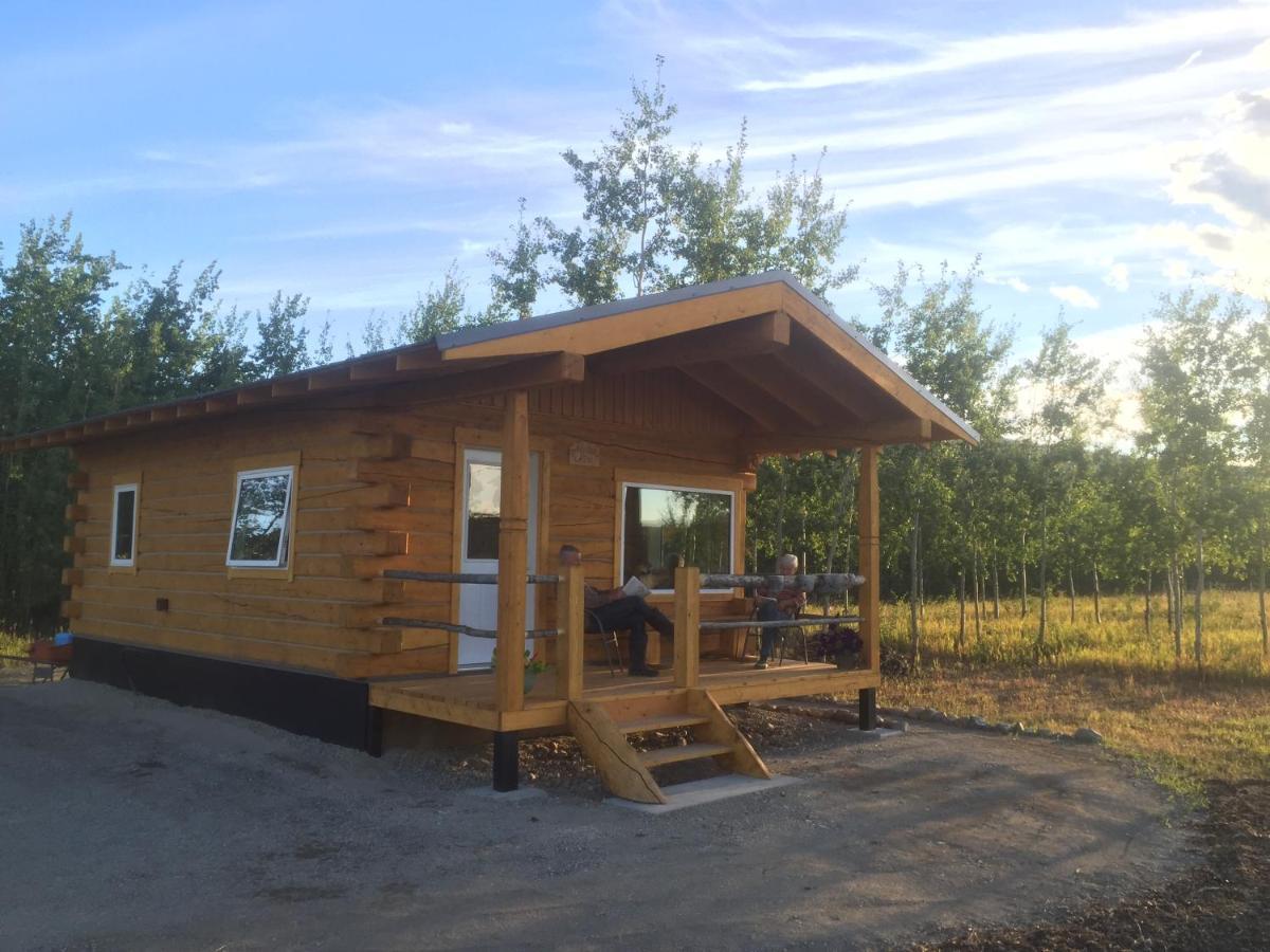 Oma'S And Opa'S Northern Lights Viewing Cabin Villa Whitehorse Exterior photo