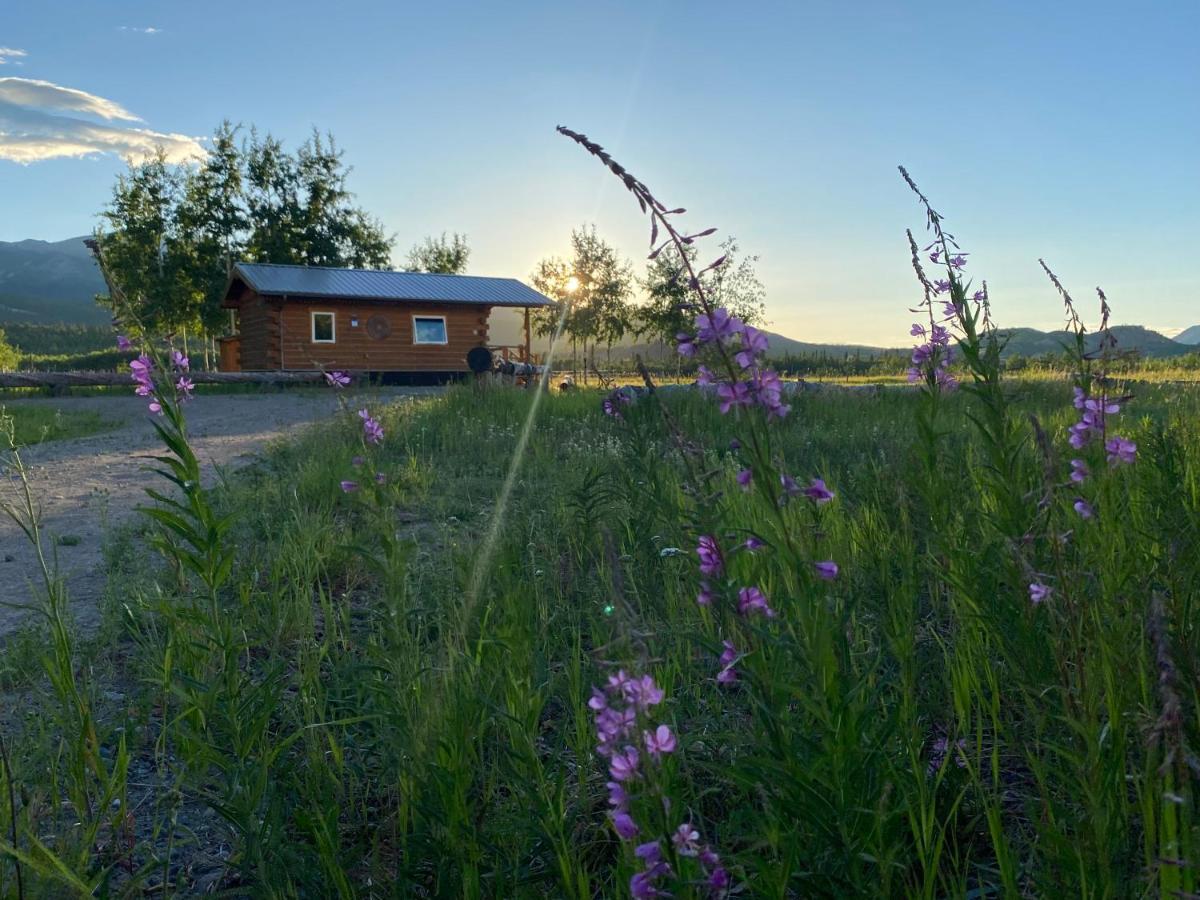 Oma'S And Opa'S Northern Lights Viewing Cabin Villa Whitehorse Exterior photo