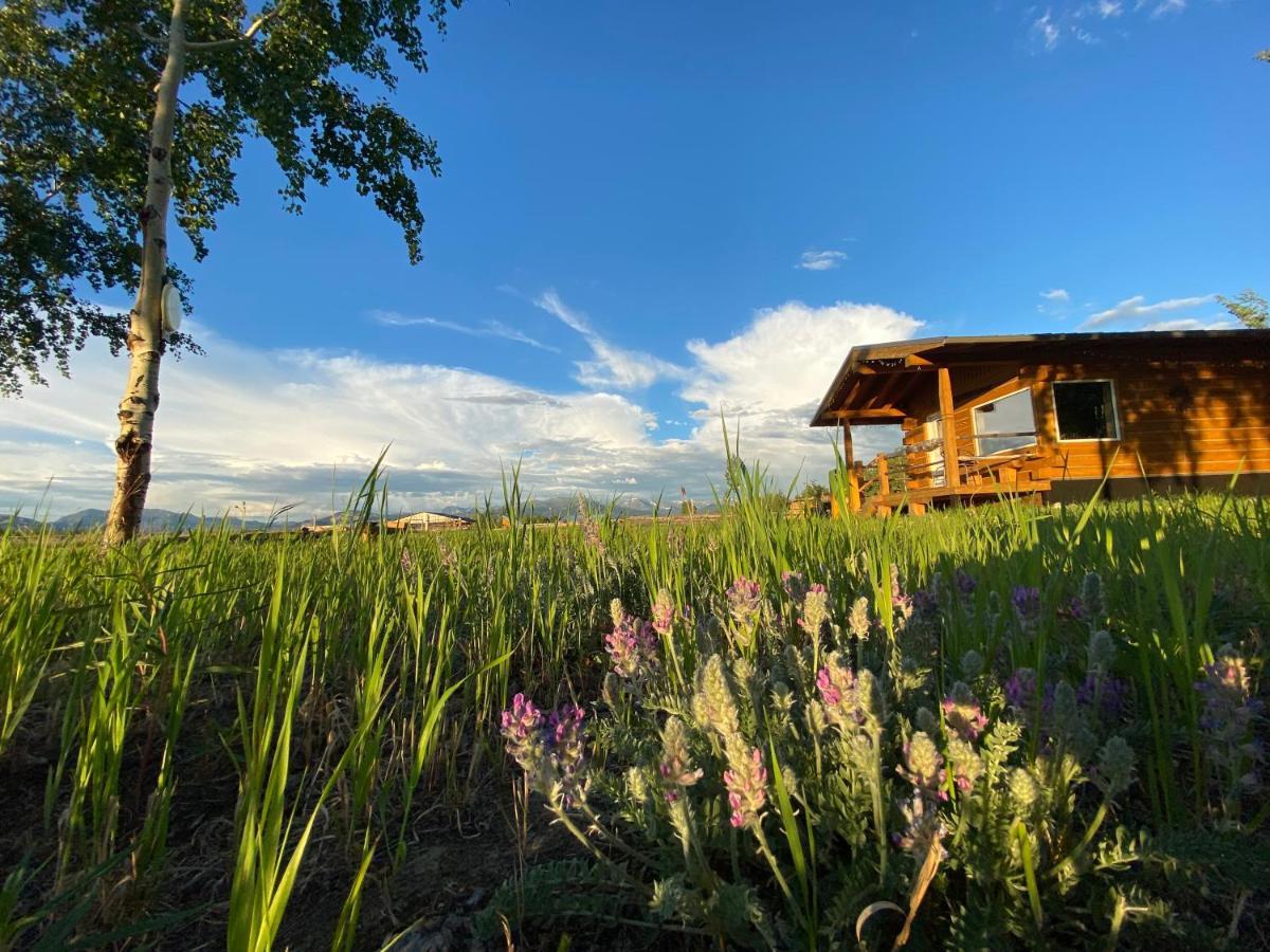 Oma'S And Opa'S Northern Lights Viewing Cabin Villa Whitehorse Exterior photo