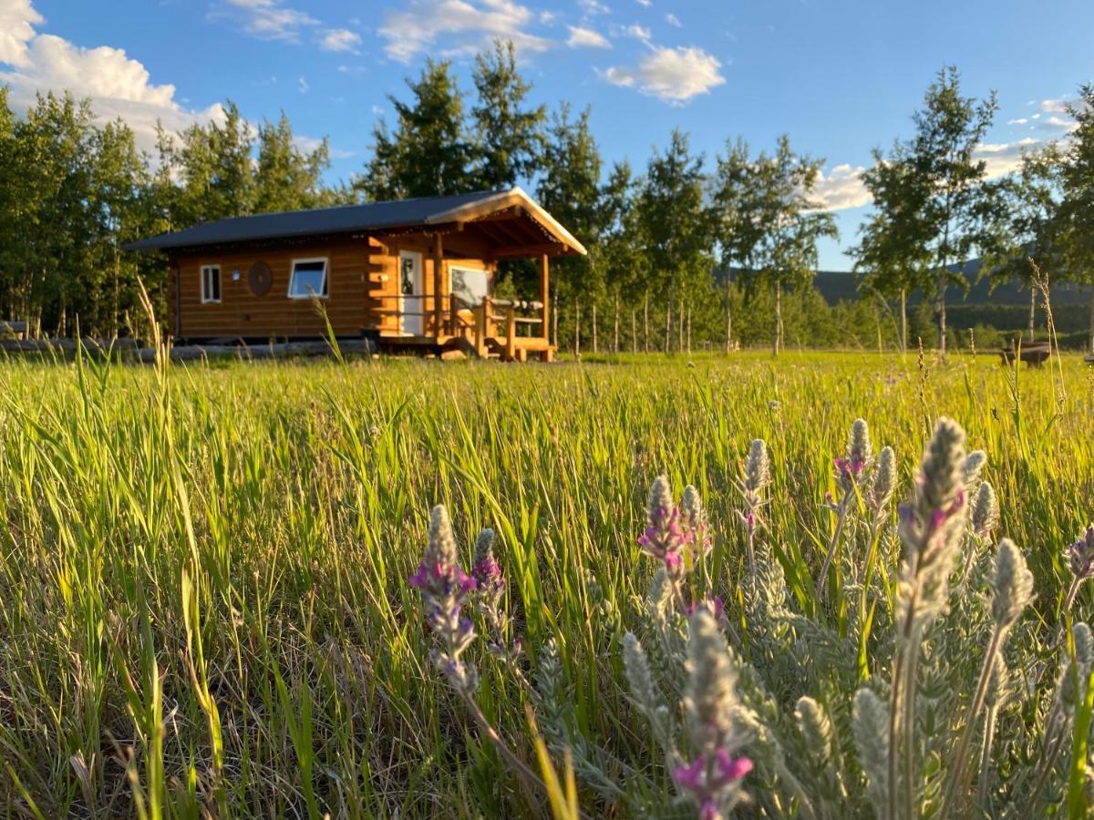 Oma'S And Opa'S Northern Lights Viewing Cabin Villa Whitehorse Exterior photo