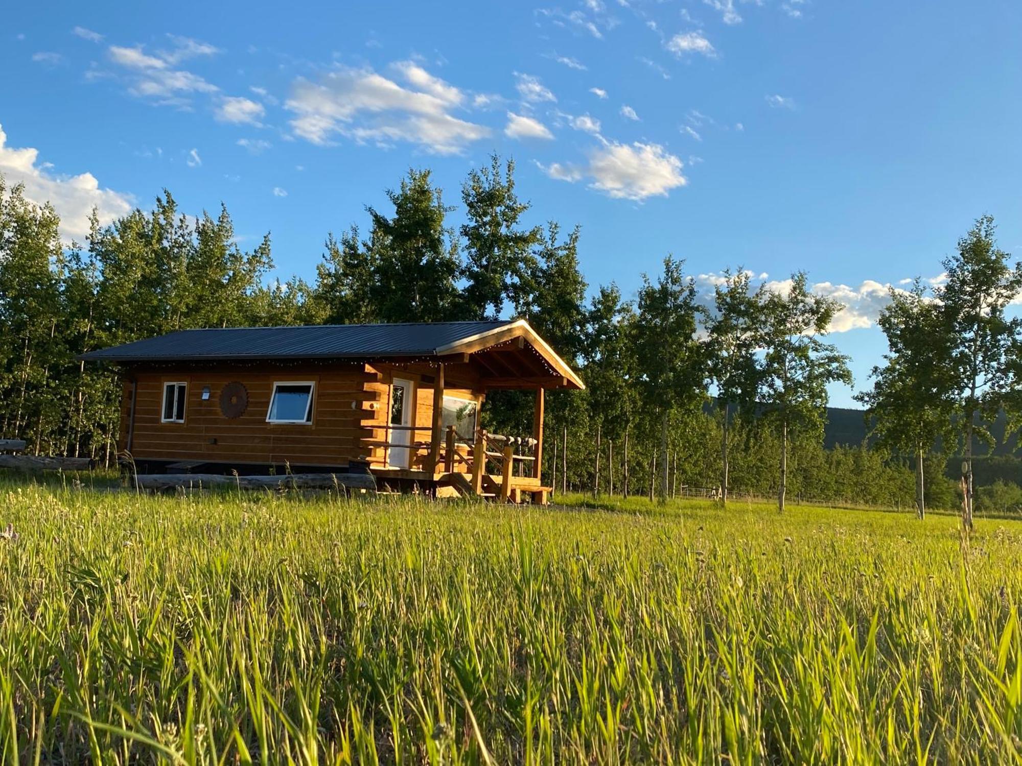 Oma'S And Opa'S Northern Lights Viewing Cabin Villa Whitehorse Exterior photo